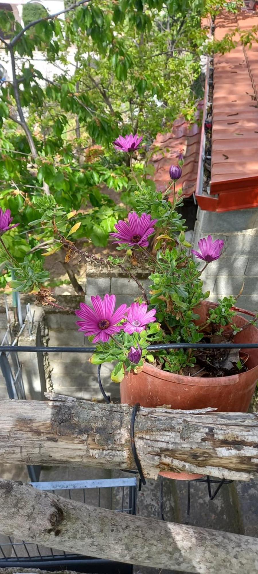 Roleo Guest House Lini エクステリア 写真