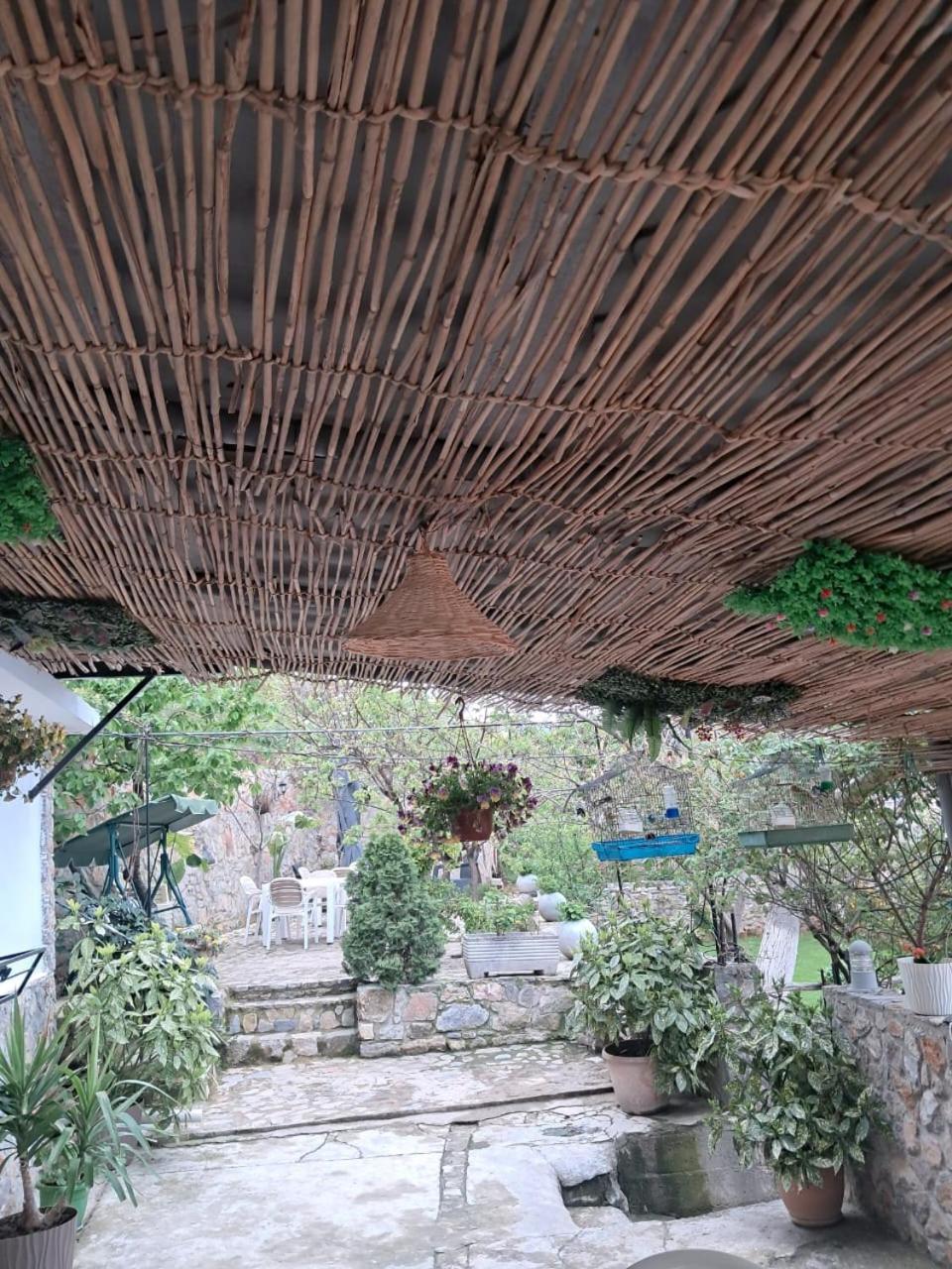 Roleo Guest House Lini エクステリア 写真